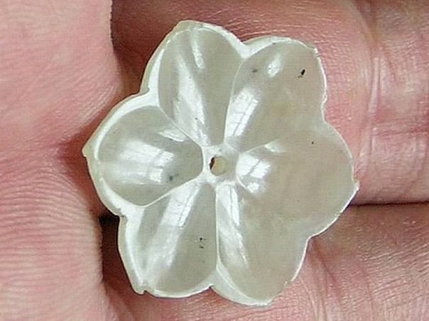 Flower 523 - (6750)